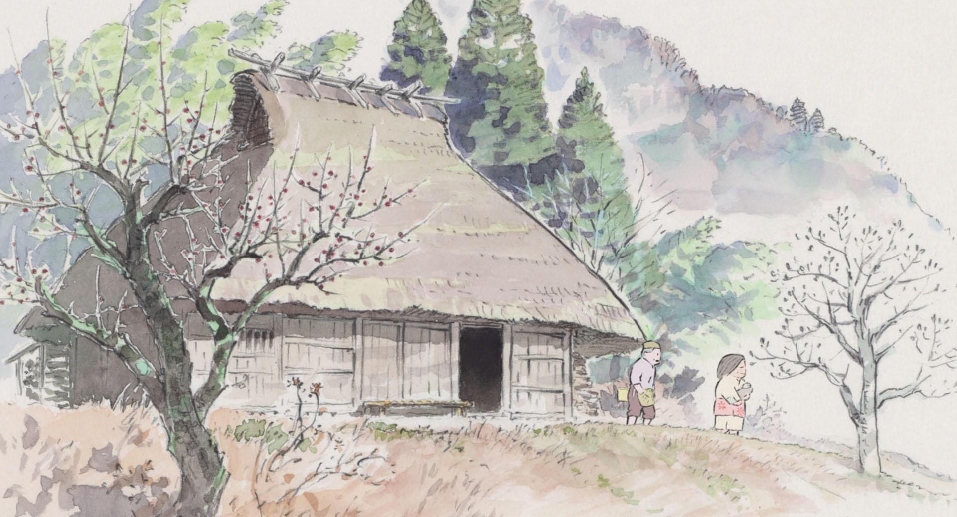 Campus During Summer Season Sophisticated