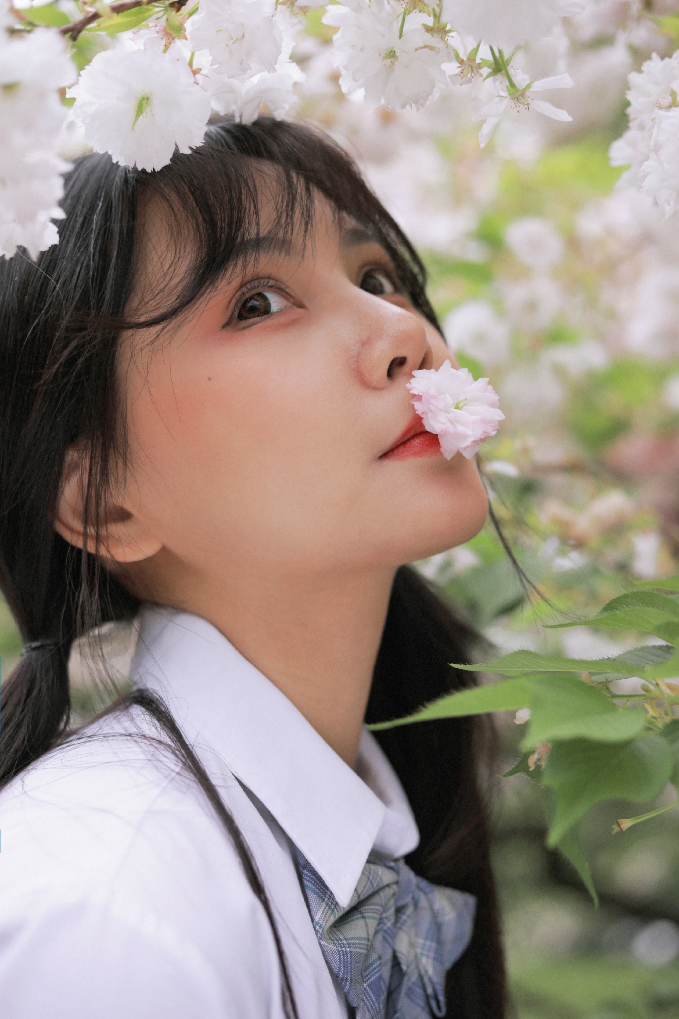 Energetic In School With Portrait