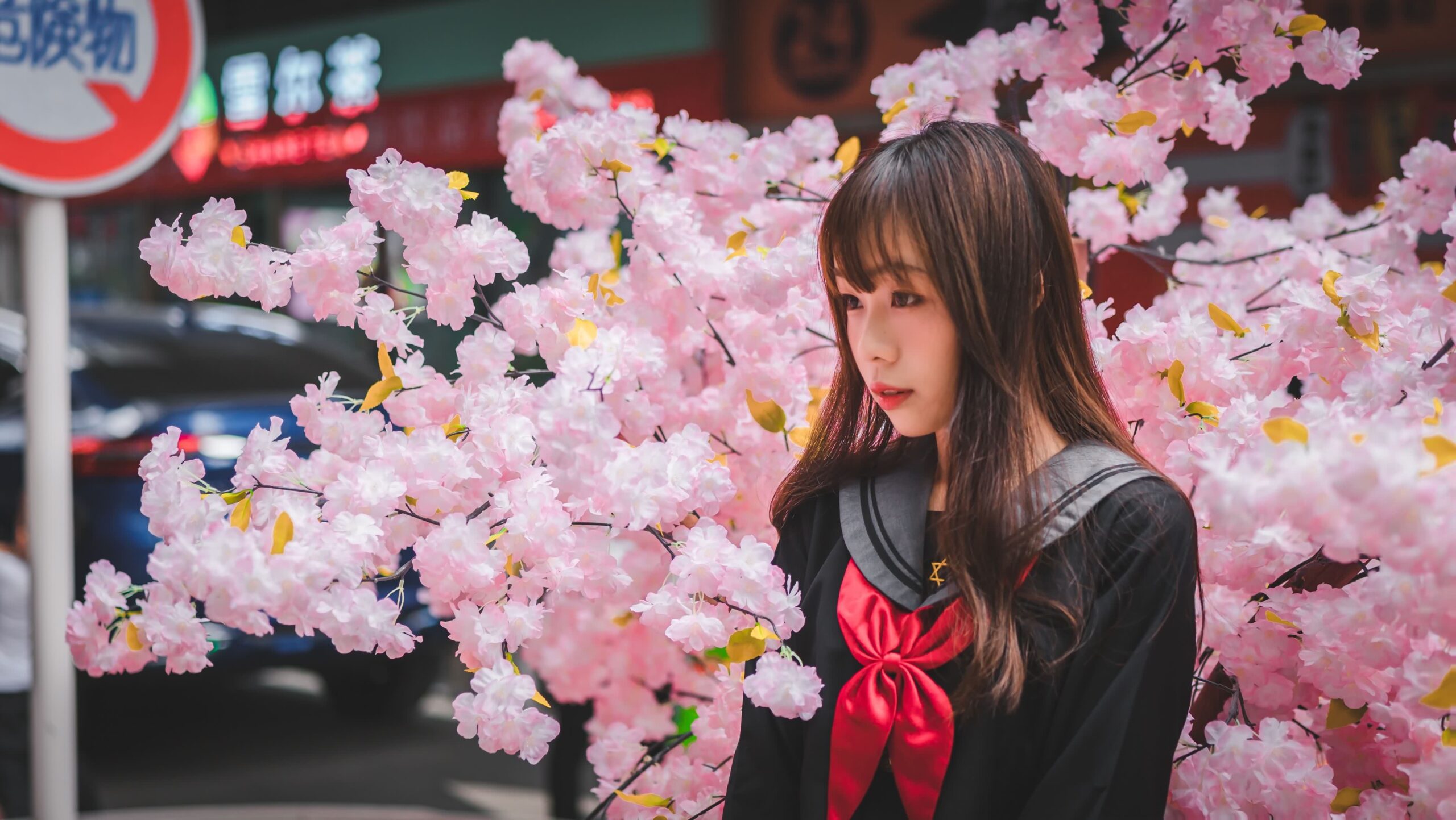 Trendy Student Collection Vision