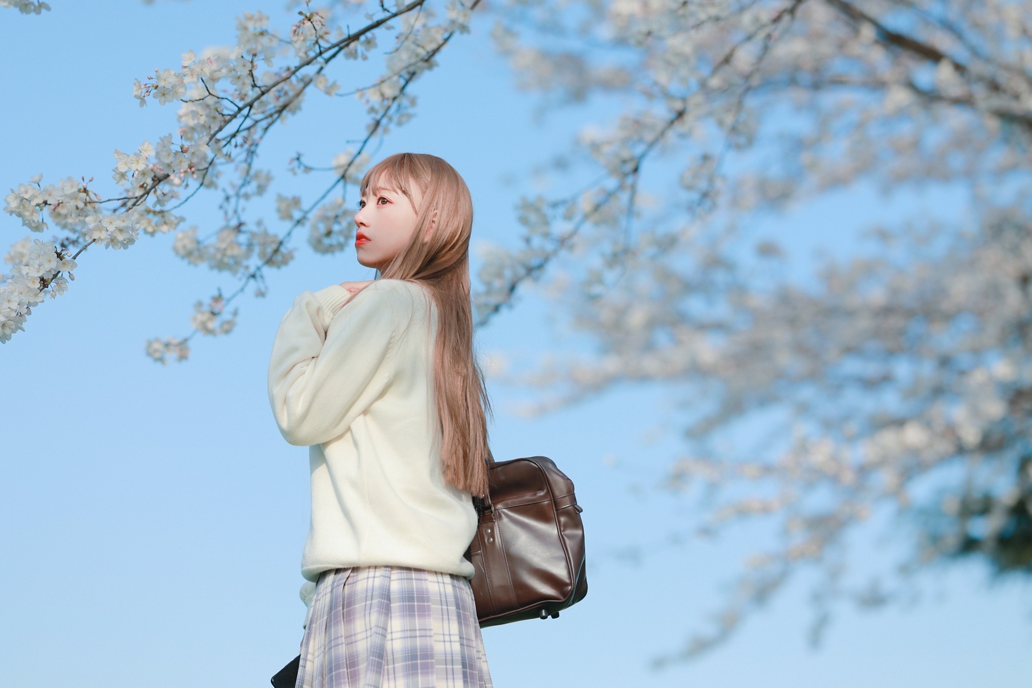 Reflections On Blossom Beauty Welcoming