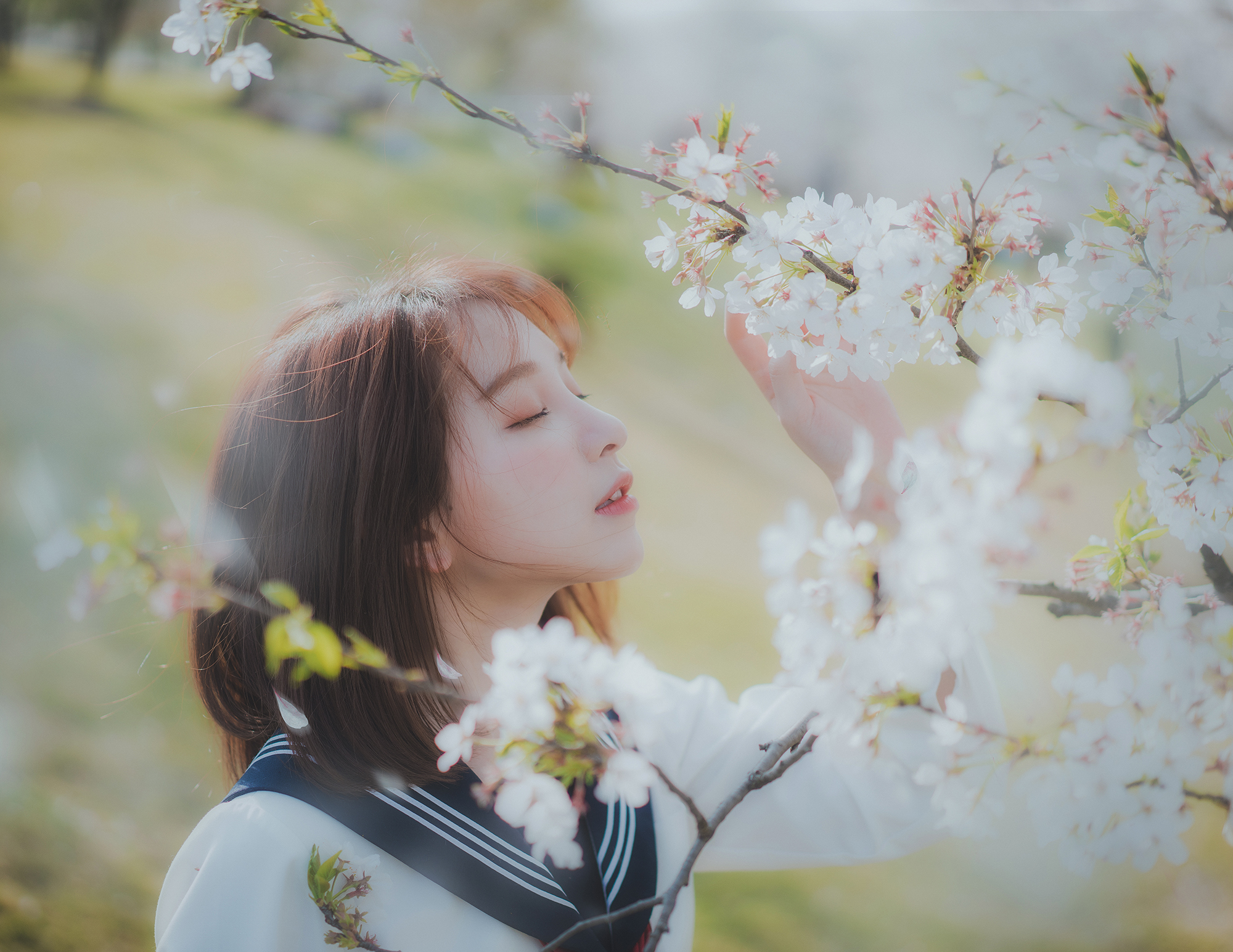 Professional Jk Academic Dress Highlight