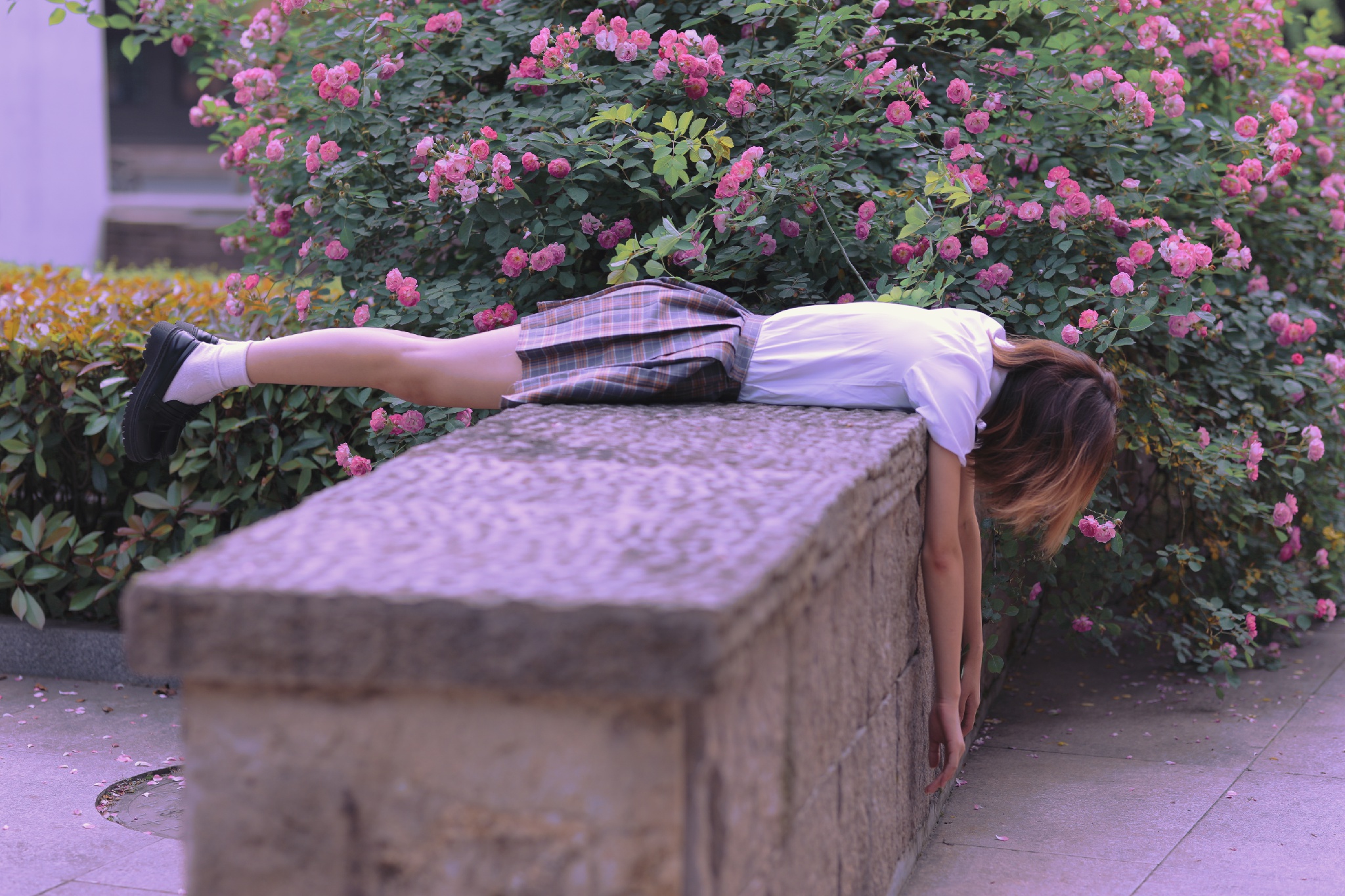 Artistic Campus Portraits Charming