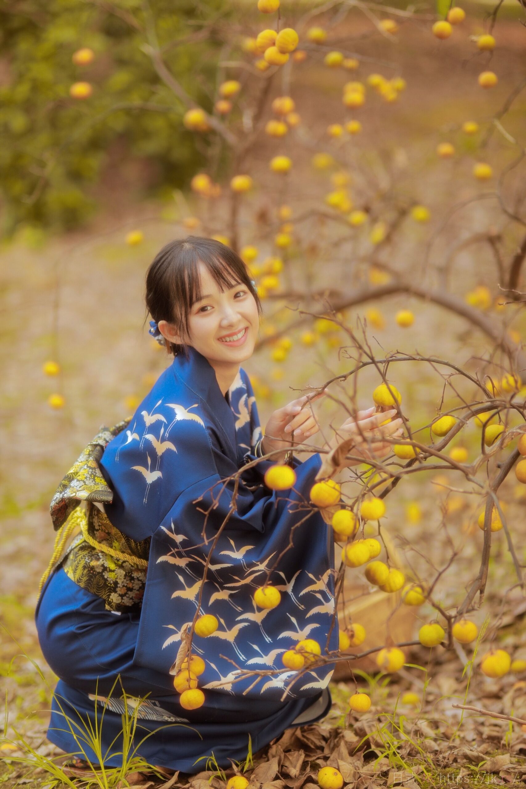 Academic School Wear Photography Image