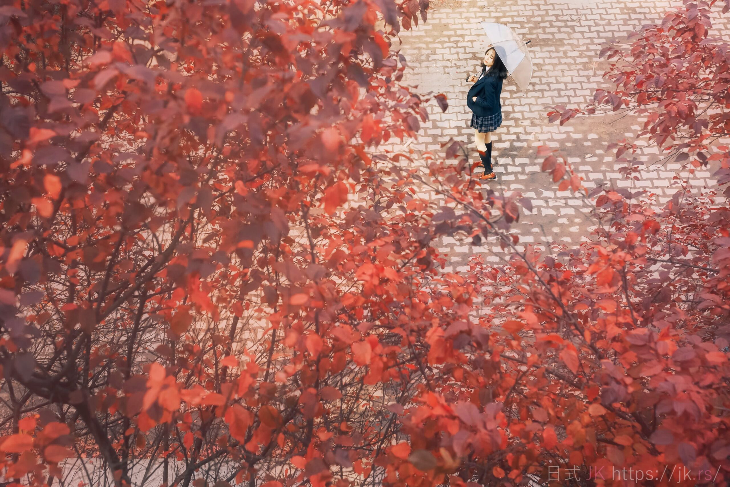 Featuring Serene Moment Wistful