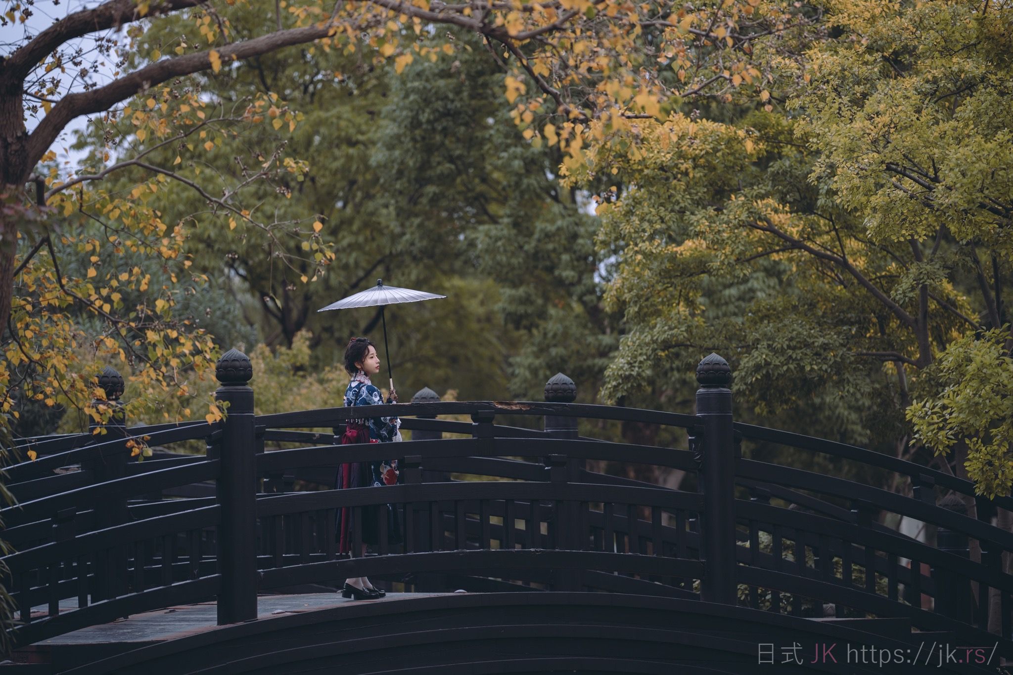 Active Autumn Feature Intriguing