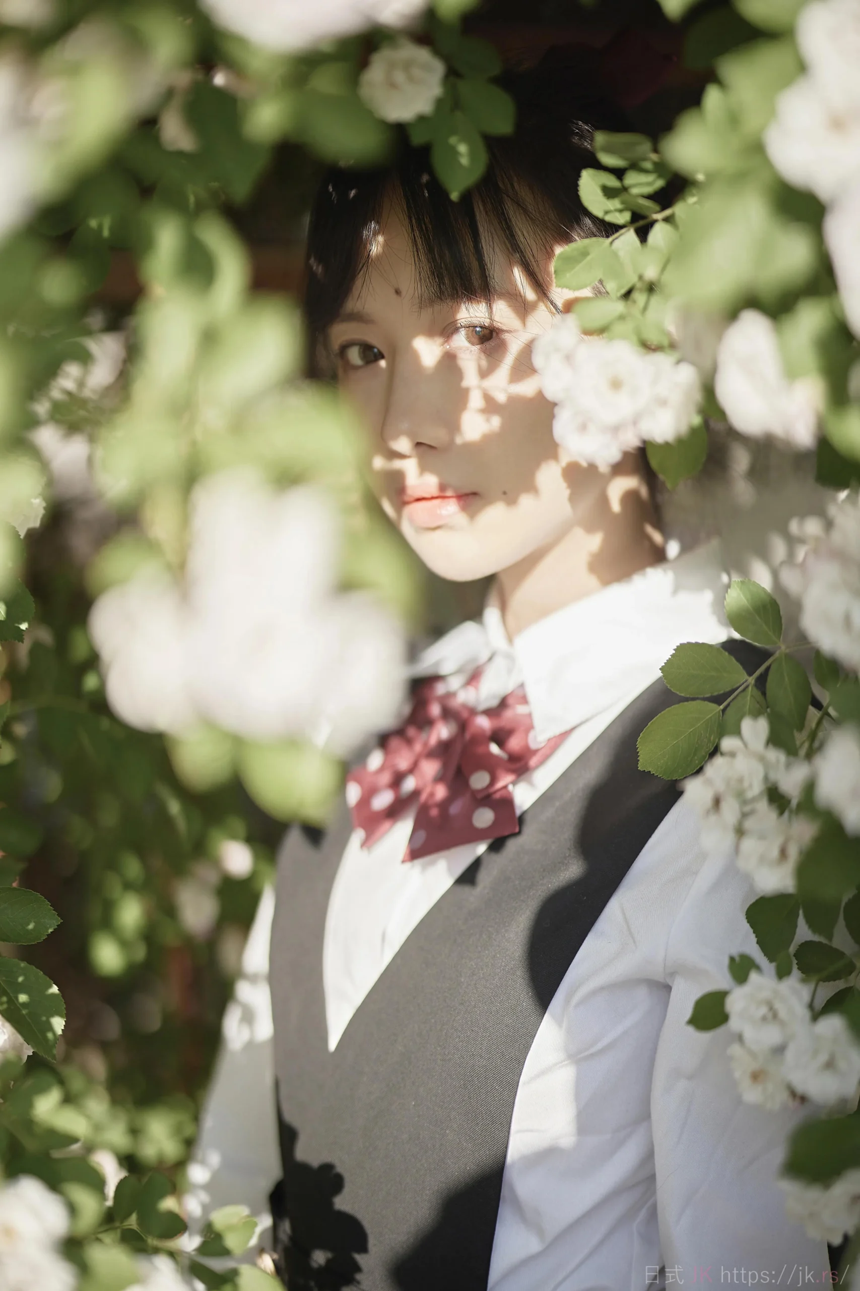 Academic Student Journey Collection