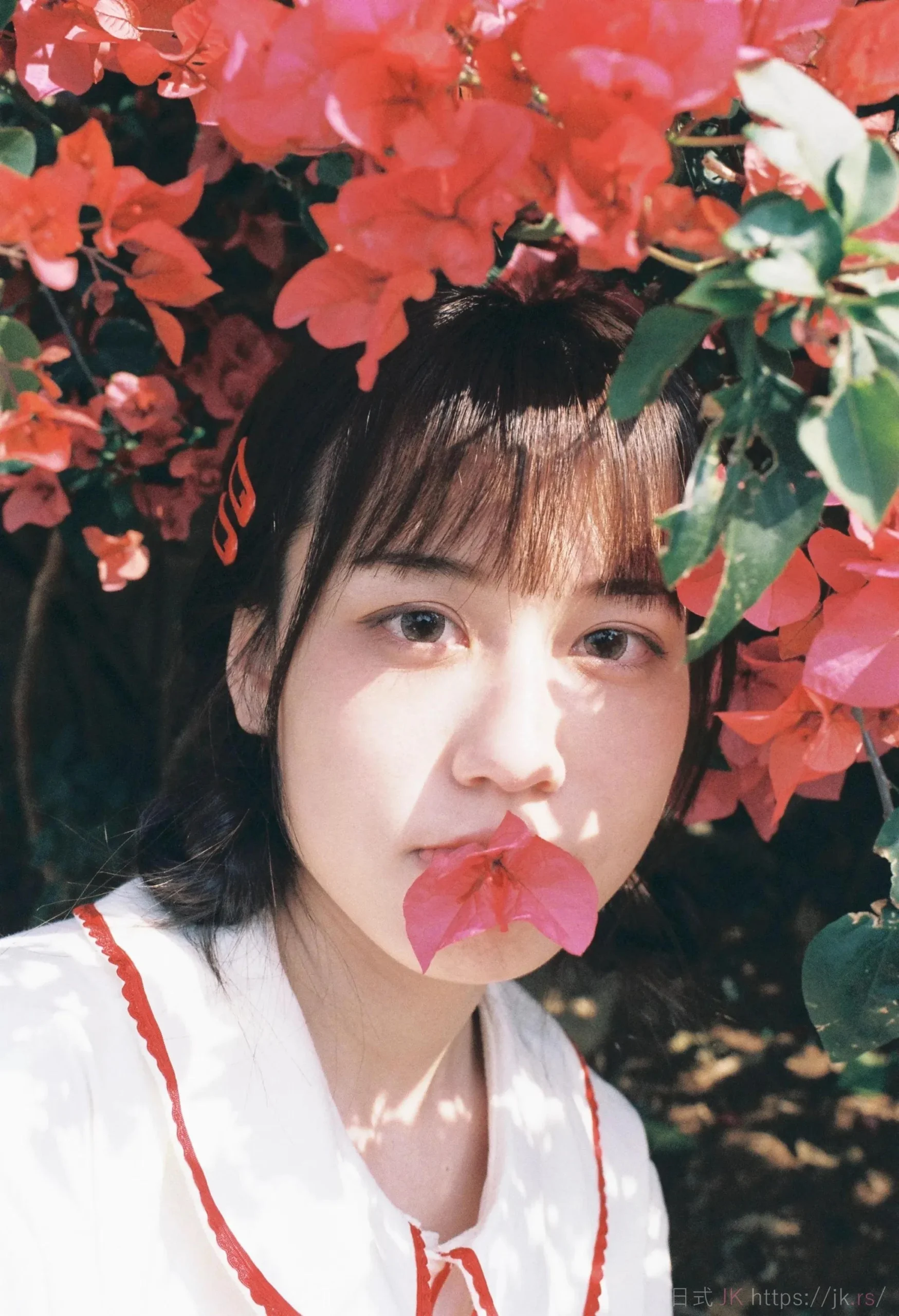 Academic School Wear Portrait Showcase