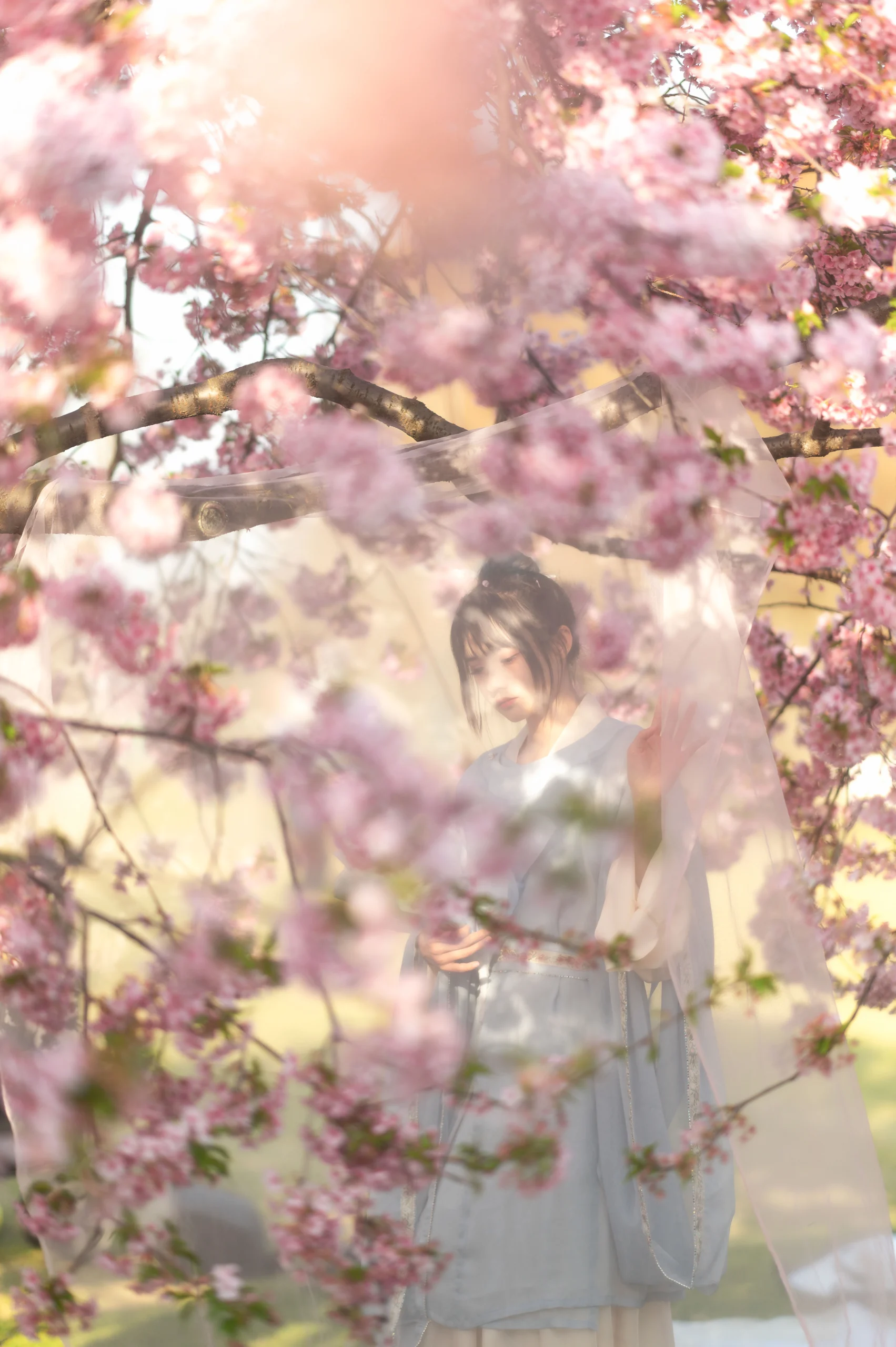Student Echoes In Garden Nighttime