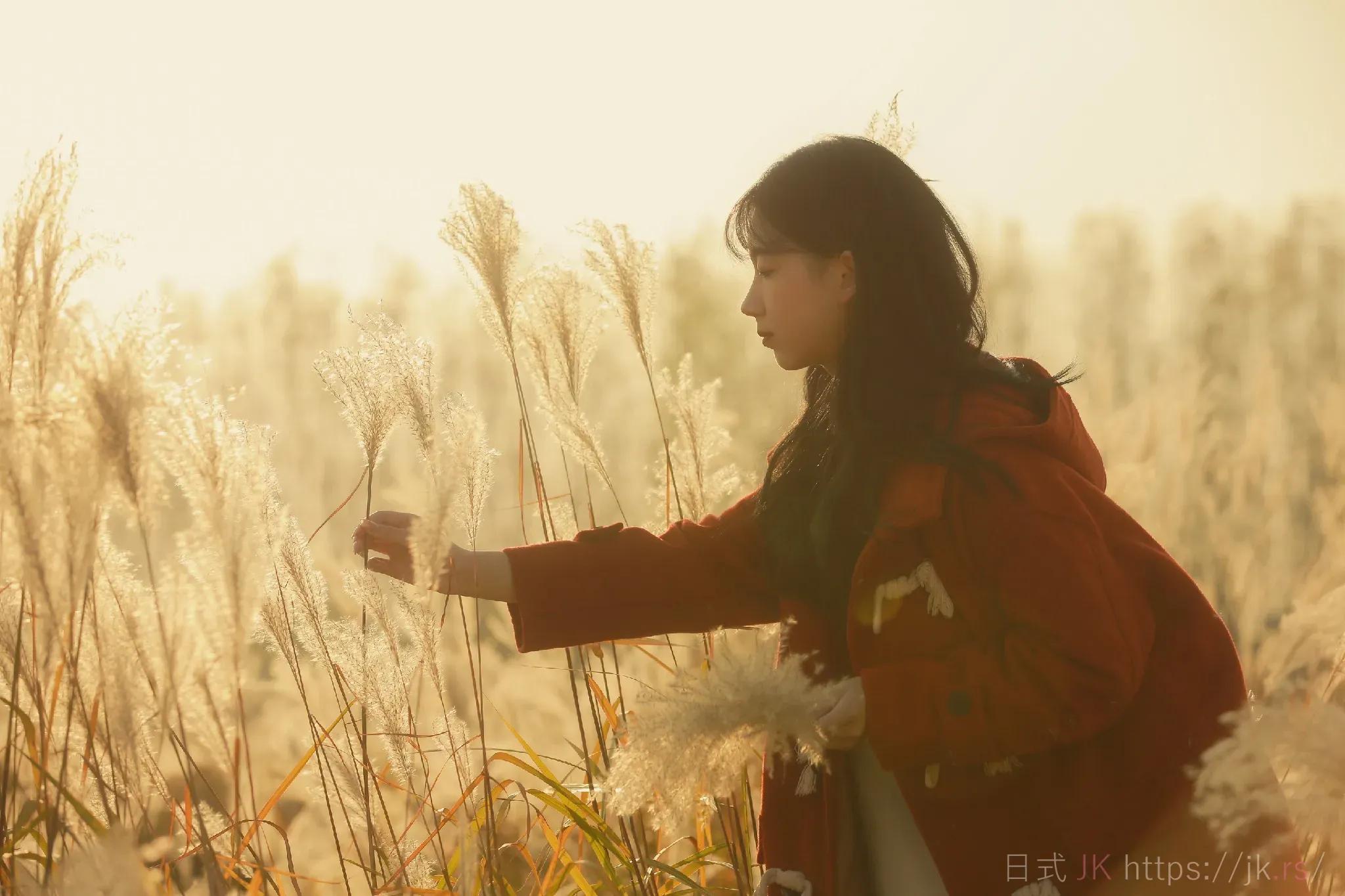 Trendy School Girl Academic Dress Collection