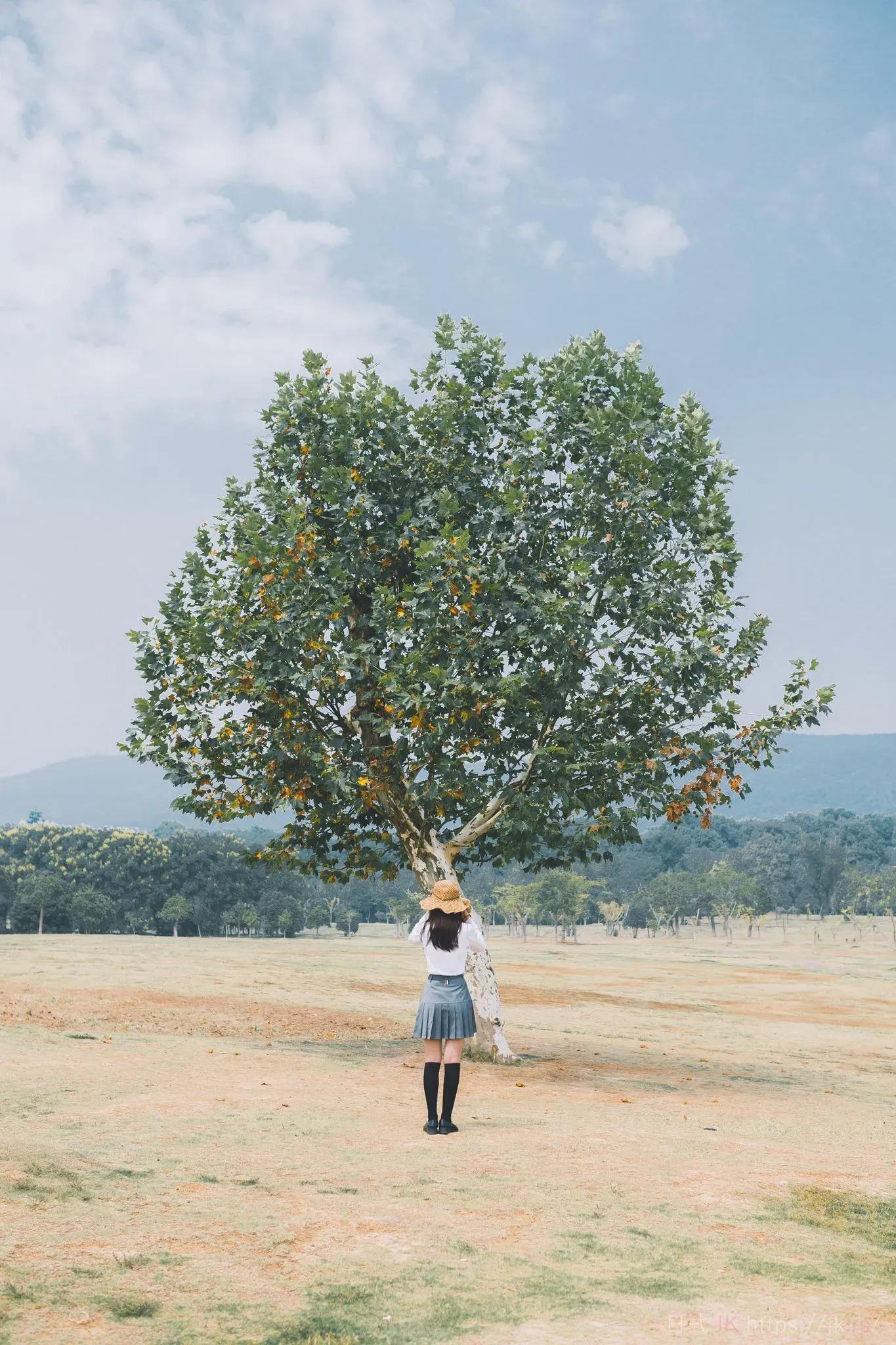 Golden Hour Fashion Showcase Calm