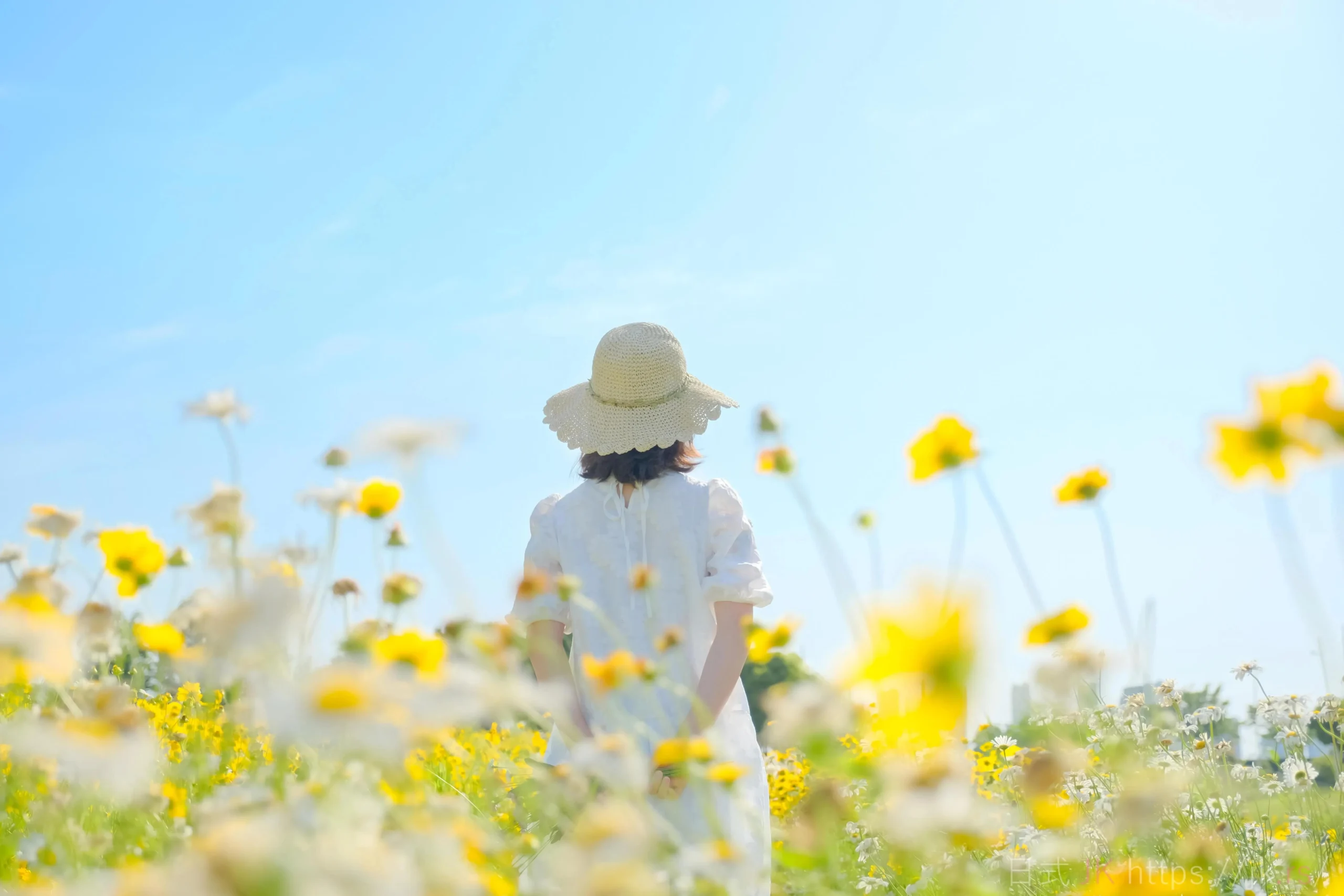 Fresh Start Echoes In Academy Chic