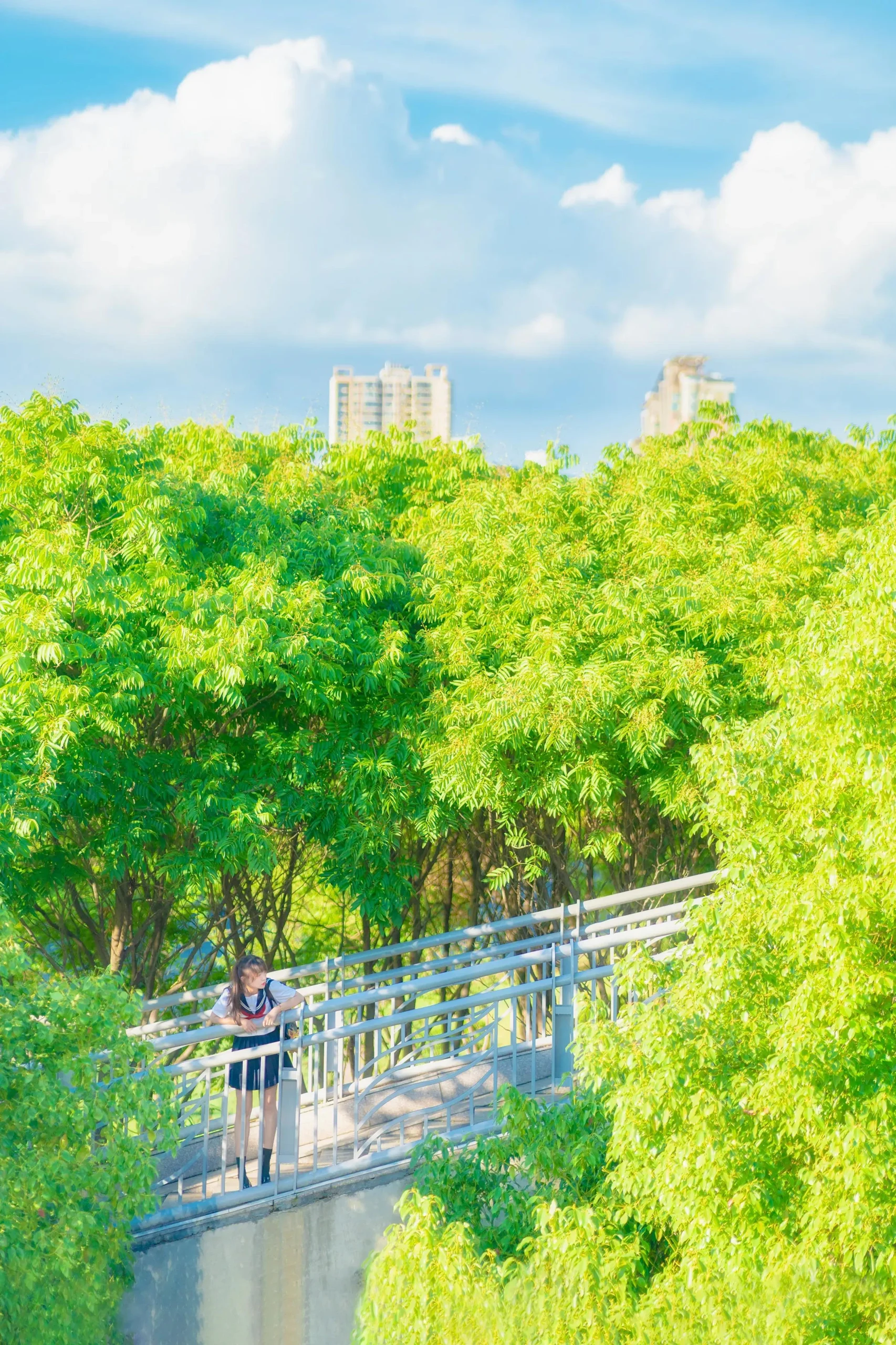 Metropolitan Campus Stories Youth Culture