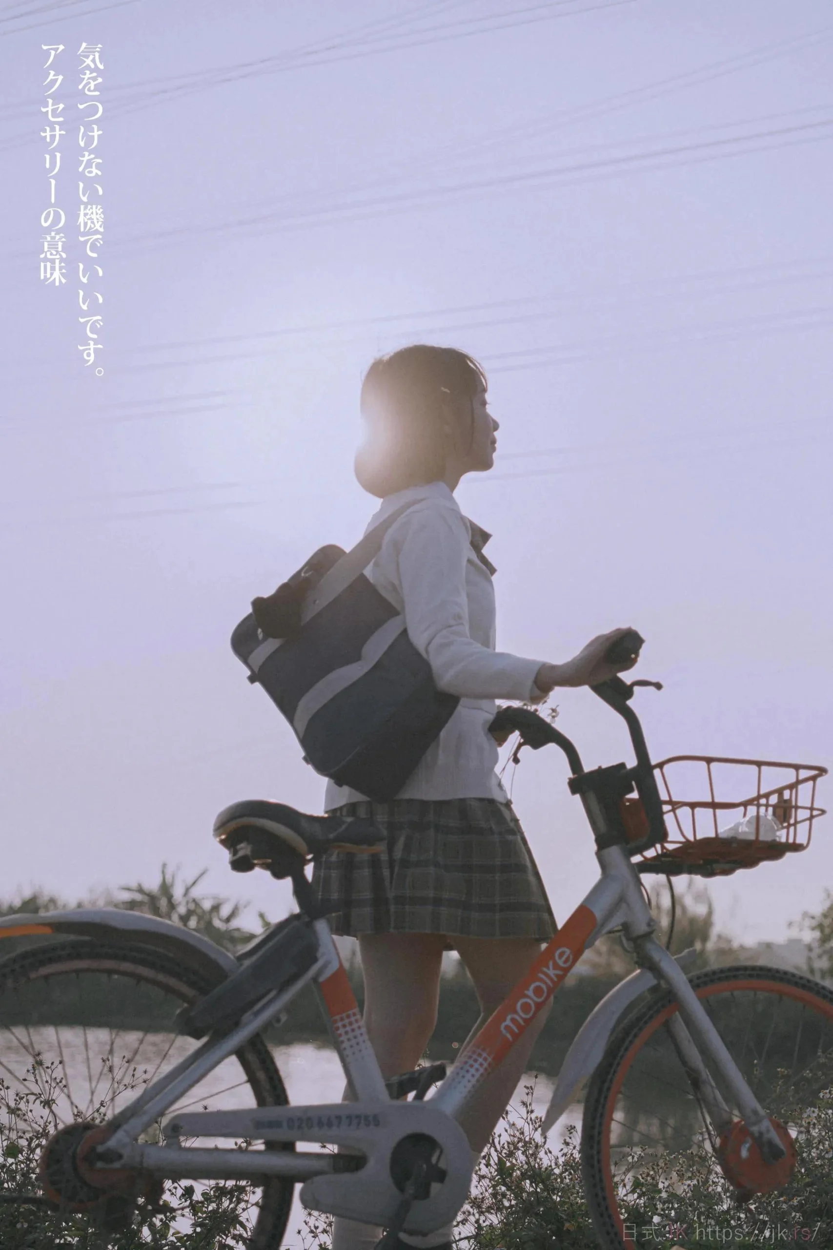 Trendy Cheerful Collection View