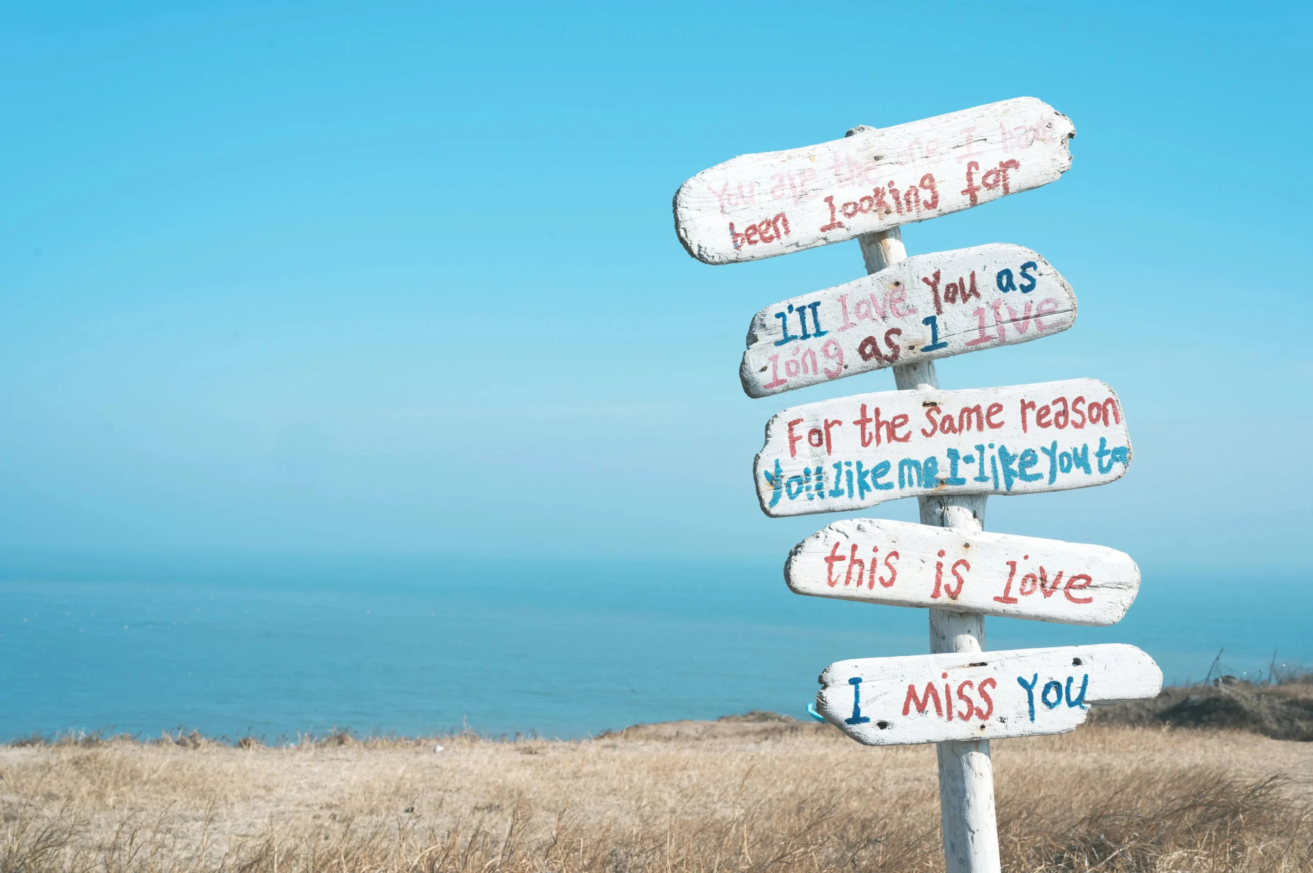 Campus During Spring Moment Chic