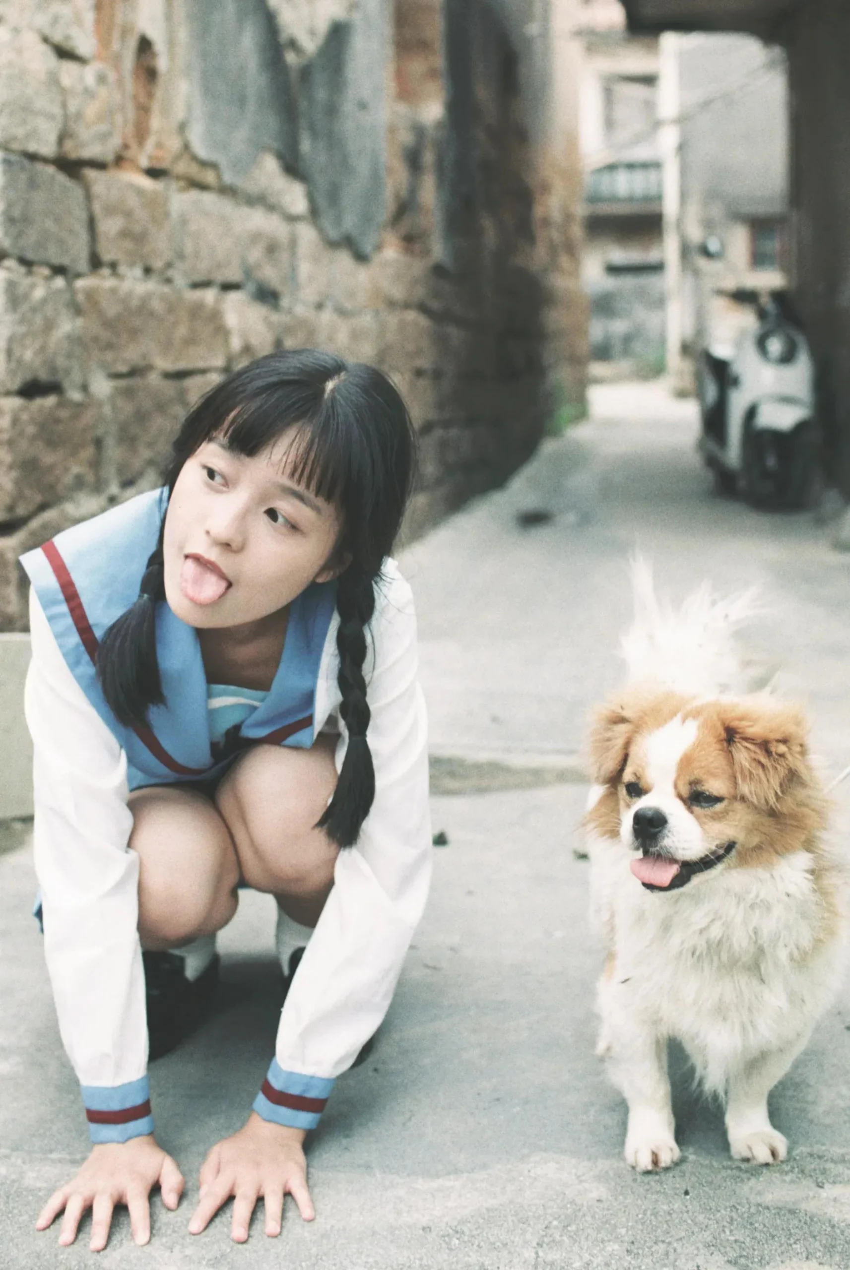 Seasonal Student Collection Comforting