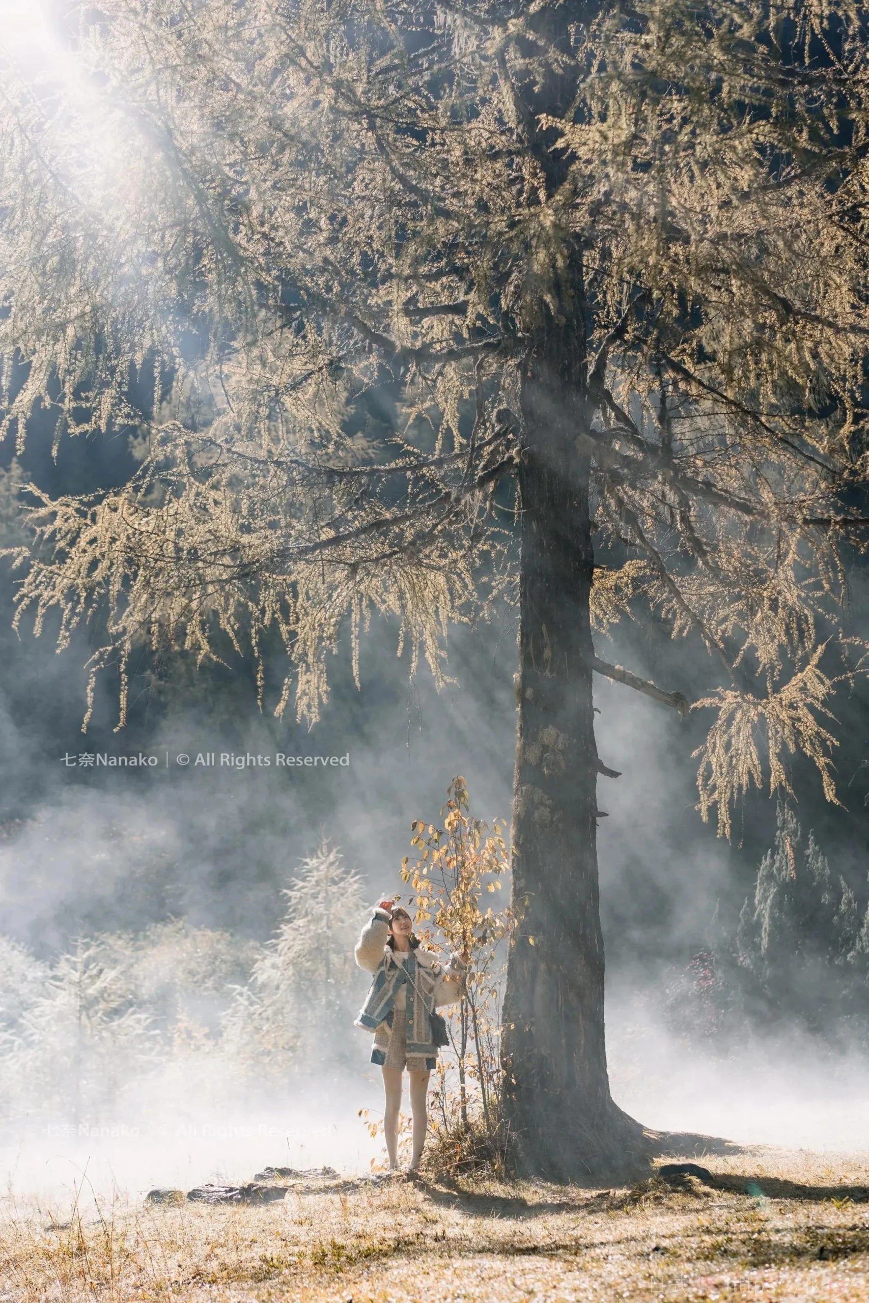 Simple Fashion Elegance Series