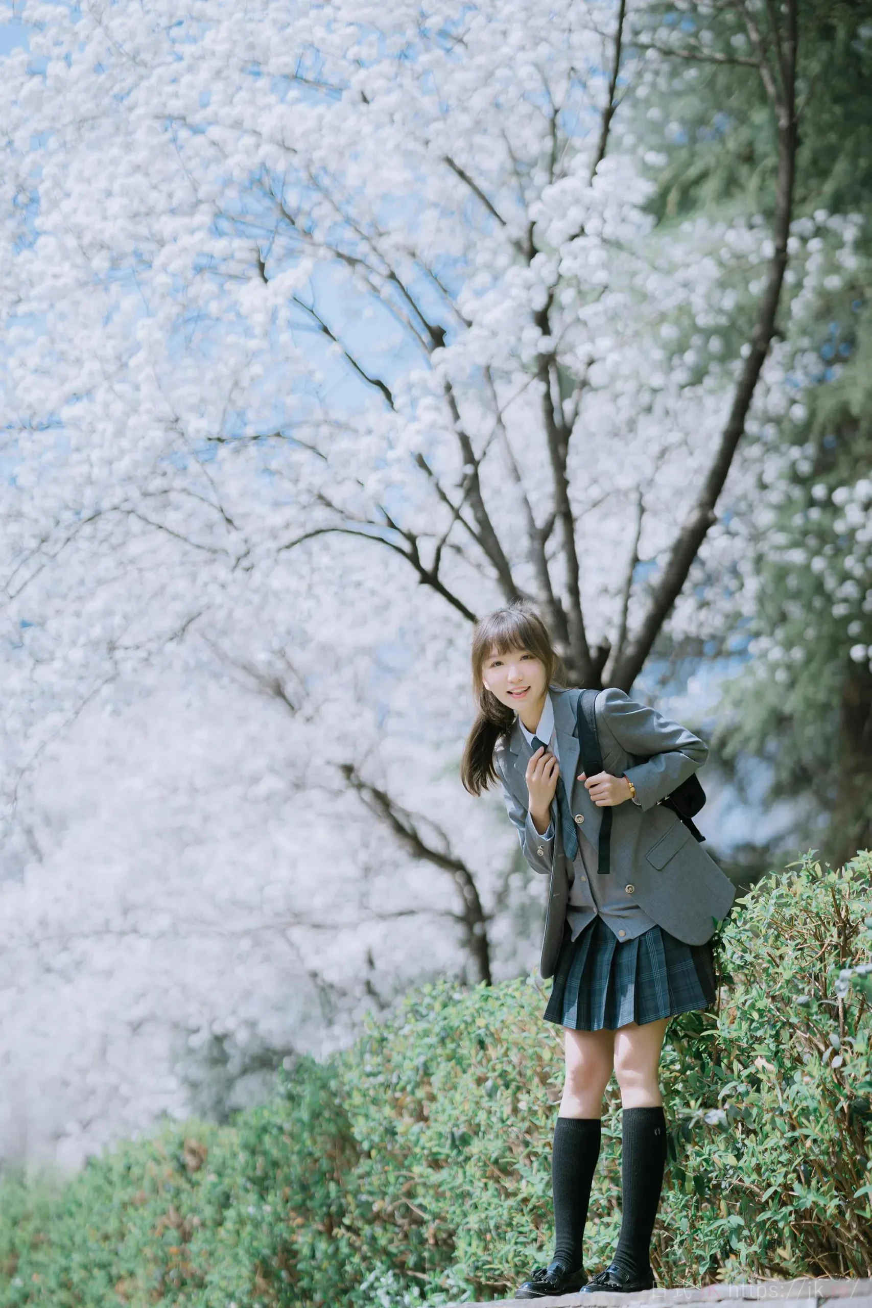 Flower Elegant Story