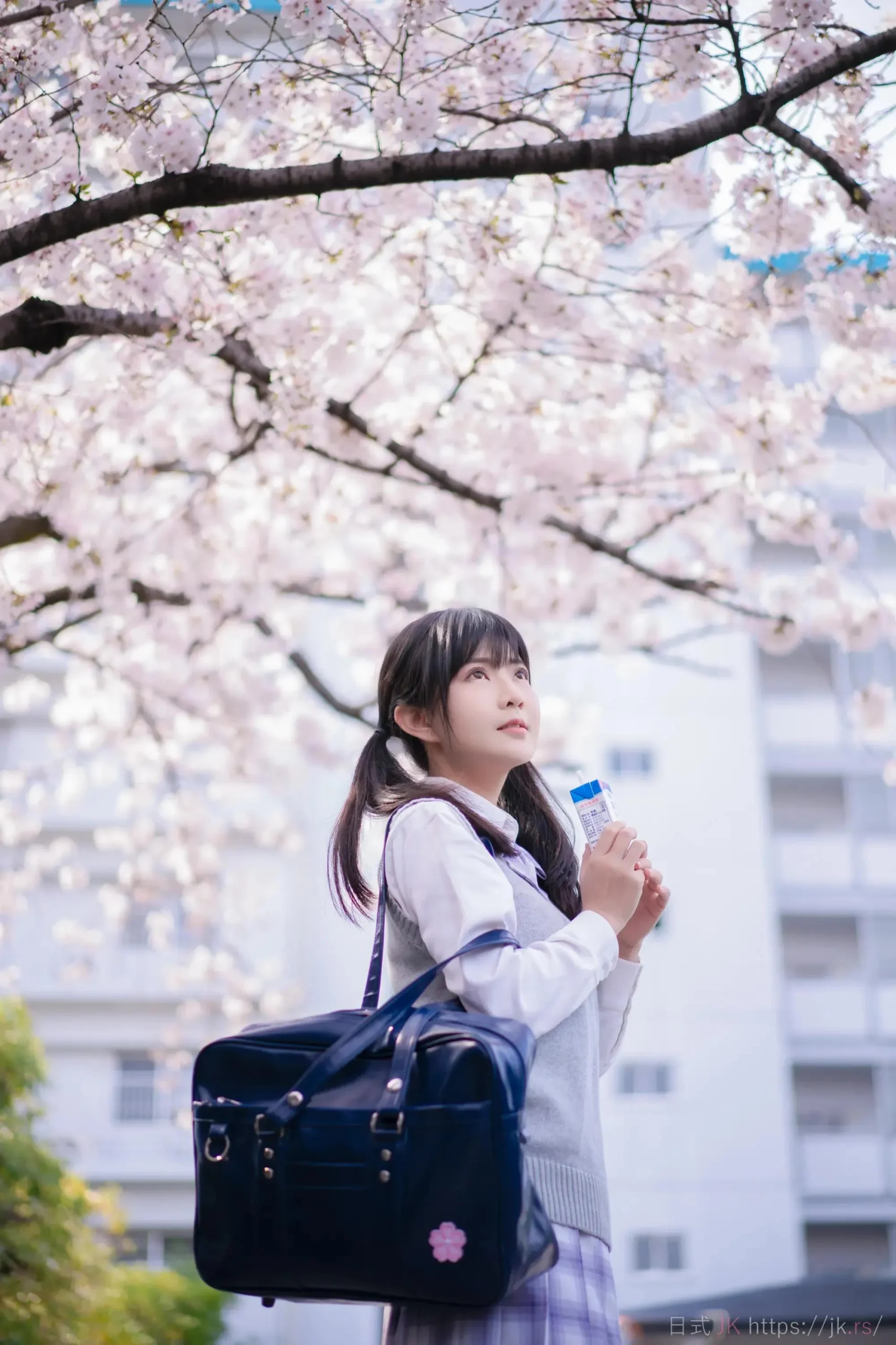 Seasonal Academic Dress Collection