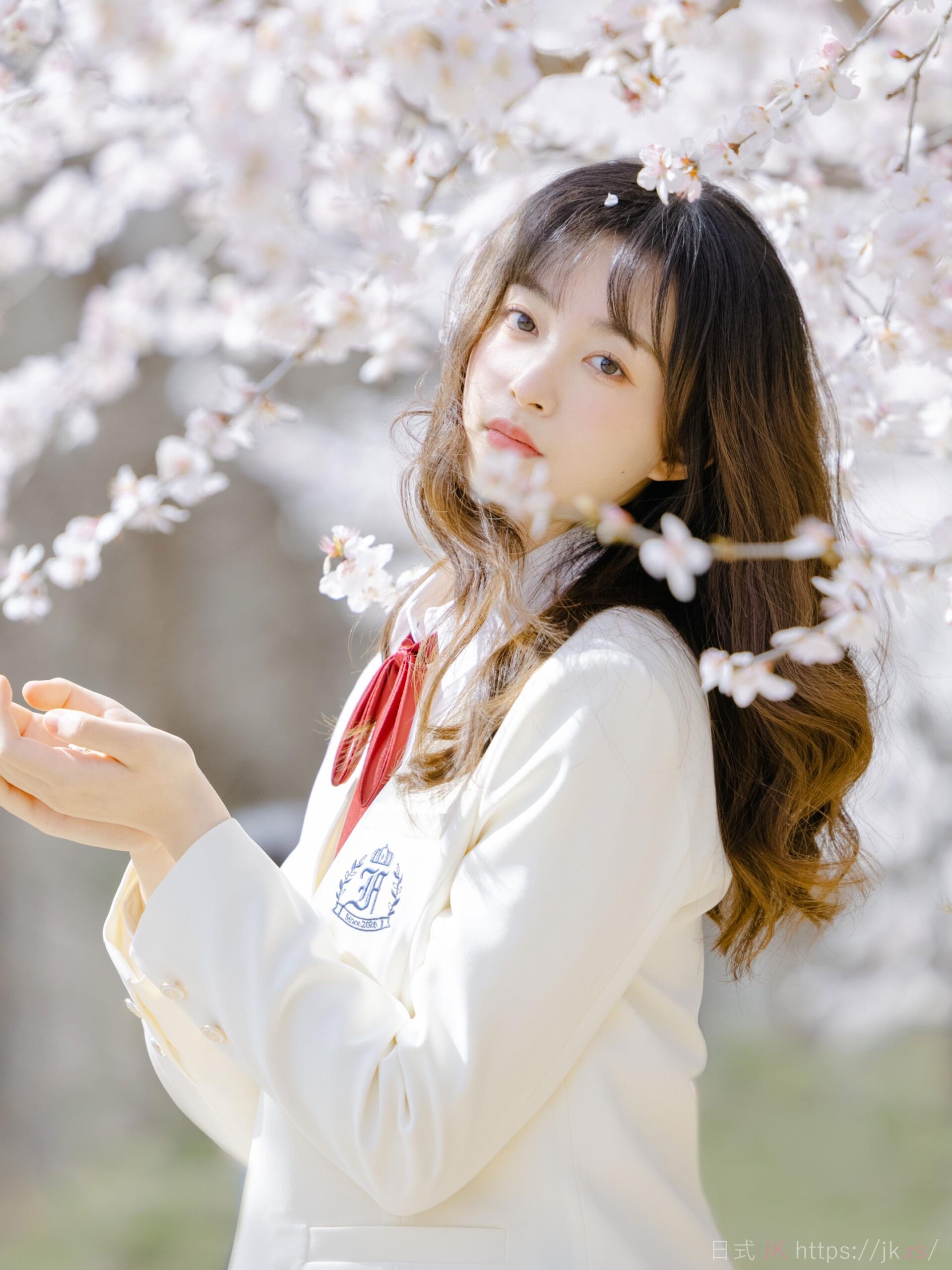 Pink Fashion Spotlight Moment Sophisticated